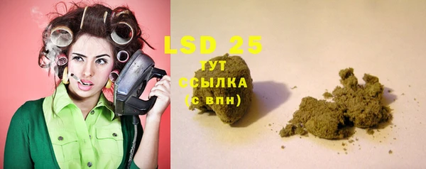 стаф Баксан