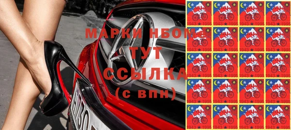 стаф Баксан