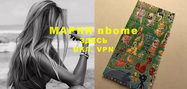 стаф Баксан