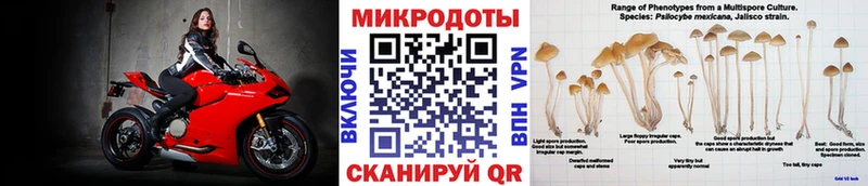 где можно купить наркотик  Сергач  Псилоцибиновые грибы MAGIC MUSHROOMS 